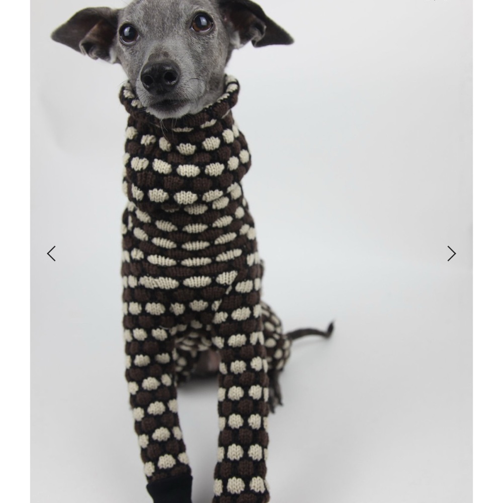 Jute and sable dog onesie